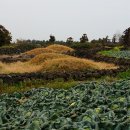 돌담목장 이미지