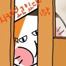 아리아무인텔 이미지