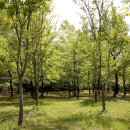 신대호수 이미지