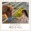 자매농장 | 용인체험농장 동물체험도 하고 농부도 되어보는 헤븐온어스