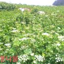 원근농장 이미지