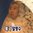 안녕하개 이미지