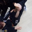 라이온태권도체육관 이미지