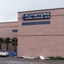 피규어 뮤지엄제주 Daum카페