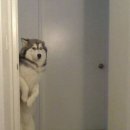 시대장모텔 이미지