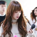 보미 이미지