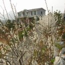 두리농장 이미지