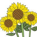 아니스트