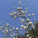 공지로3 이미지