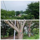 한온장군충신정문 이미지