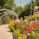 장미원입구 화장실 이미지