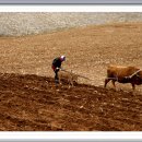 김삿갓면-19 이미지