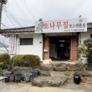 소나무집 이미지