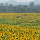 안도현농장 이미지