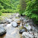 국립가리왕산자연휴양림 이미지