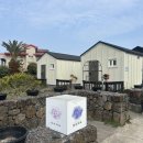 하이워시제주 | 제주 서쪽 한경 협재 감성 독채숙소 추천 '하이까미' 내돈내산 방문 후기