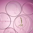 동방산소 이미지