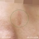 로담한의원 이미지