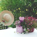 고요 이웃 이미지