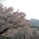 계룡산 경관 이미지