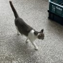 세븐일레븐(통영바다휴게소점) 이미지