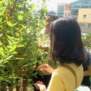 약대초등학교 이미지