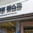 릴리 펫스파 네이버블로그