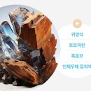 약손 온누리 약국 이미지