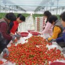 오지영농조합법인 이미지