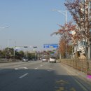 이중인 묘 이미지