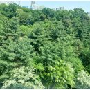 은빛사랑요양병원 | 파주시장기요양시설 찾다가 은빛요양원 방문해보고 마음이 놓였던 찐 후기🌿💛