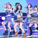 프림로즈