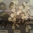 코리아히록스 이미지