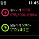 내가도서관 이미지