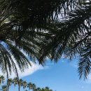 달숲하우스 이미지