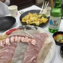 단골상회 | 노량진 회 맛집 단골 많은 바다회센타, 나주상회 민어회 내돈내산 후기