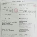제주공인번역행정사사무소 네이버블로그