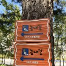 늠내길5코스 정왕둘레길 | 시흥늠내길 5코스 정왕둘레길