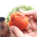 삼백환경개발