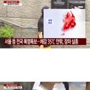 대신한증막 이미지