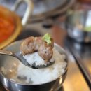 빽돼지