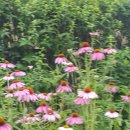 정원약국 이미지