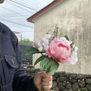 소롱코지 이미지