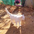 수암봉화장실(공영주차장) 이미지