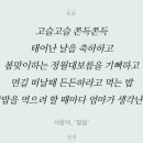 우리들의아름다운날들