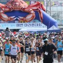 영덕해변 전국마라톤대회 (6월21일:일) 이미지