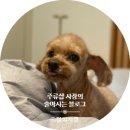 이태원 경리단길 공감 | 이태원 경리단길 노포 황토숯불생고기 후기