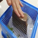 인조이