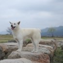 호인축산 네이버블로그