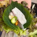 봉곡동226 | [구미/봉곡동] 구미현지인맛집 추천 '인생횟집'